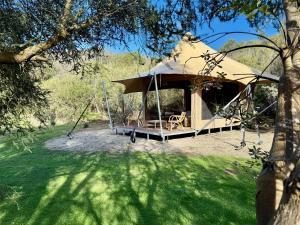 a large tent with a swing in a yard at Ukiyo Nature Retreat in Fingal