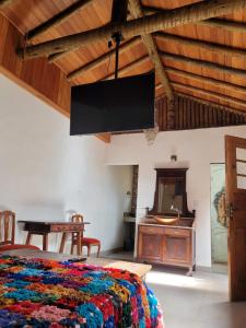a bedroom with a bed and a flat screen tv at Na Trilha da Ostra 2 - Brechó e Antiquário in Brumadinho