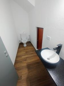 a bathroom with a toilet and a sink at Triplex con vista hermosa in Salta