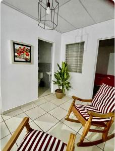 a living room with two chairs and a potted plant at Casa Hogar in Ahuachapán