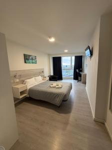 a bedroom with a large bed and a television at Pensión La Intermodal in Santiago de Compostela