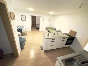 a kitchen and living room with a sink and a couch at Apartmán Buky in Mladé Buky