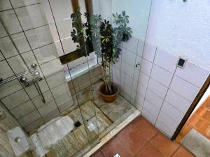 a bathroom with a shower with a potted plant at Villa Florita in La Paz