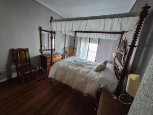 a bedroom with a canopy bed and a window at Casa Turistica Termas aparcamiento y desayuno incluido in Mérida +17 photos