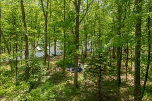 an overhead view of a picnic table in the woods at Happy Times by Railey Vacations in Swanton +41 photos