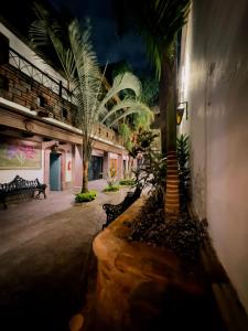 a courtyard with benches and palm trees in a building at Hotel Boutique in Querétaro
