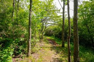 a trail in the woods with trees at Sweet Dreams by Railey Vacations in McHenry +49 photos