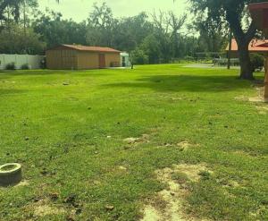 a green yard with a tree and a building at Star Motel in Tampa