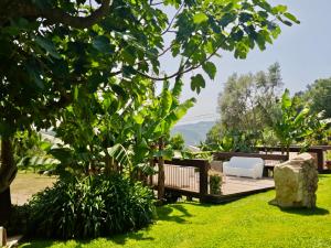 a garden with a bench and a tree at Quinta do Botas in Moimenta +26 photos