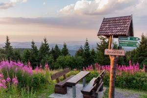 a couple of benches in a field of flowers at Apartment in Wutha-Farnroda 3178 in Wutha-Farnroda