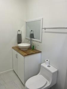 a bathroom with a white toilet and a sink at Island Time house in Utila +3 photos