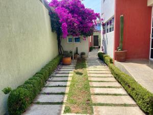 a walkway in a building with pink flowers on the side at Casa Sosa in Zacatlán