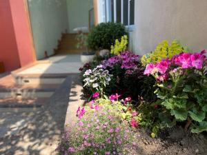 a bunch of flowers in front of a building at Casa Sosa in Zacatlán