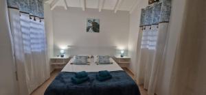 a bedroom with a bed with two blue pillows at Les Gîtes Blue Karaib in Sainte-Anne +54 photos