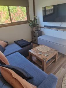 a living room with two blue couches and a table at Tiny House Experience in Sunset Strip +16 photos
