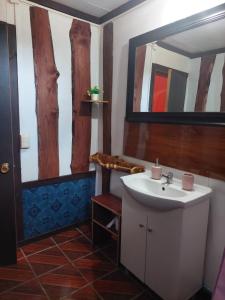 a bathroom with a sink and a mirror at Hostal Verde Vida in Futrono