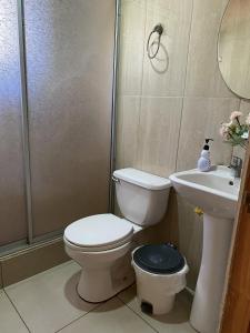 ein Badezimmer mit Toilette, Waschbecken und Dusche in der Unterkunft Cabañas Anny 1 in Linares
