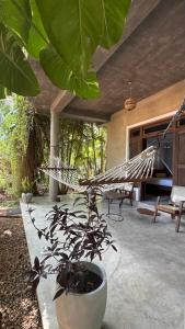 a patio with a hammock and a potted plant at Kataragama Homestay in Kataragama