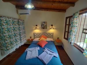 a bedroom with a blue bed with two pillows at Cabañas Mónika IV Sur in Huerta Grande