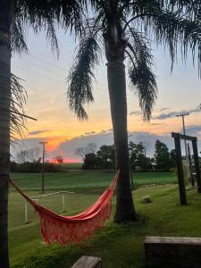 a hammock in a field with a palm tree at Pousada Bonetti Quarto 4 in Santa Rosa