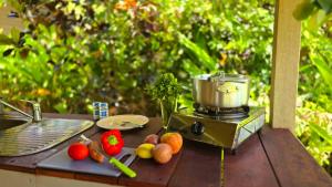 a table with a blender and some fruit on it at Ferntree Rainforest Lodge in Cape Tribulation