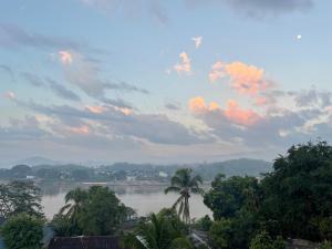 a view of a river with palm trees and a cloudy sky at Over the Moon hostel in Ban Houayxay +37 photos
