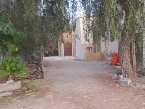 an alley with a tree and a building at Quriyat in Afā +4 photos