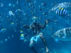 a man swimming in front of a school of fish at Adefiro Homestay in Besir