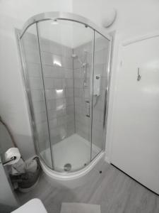 a shower with a glass door in a bathroom at Lundy Views in Northam +20 photos