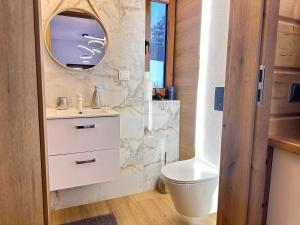 a bathroom with a sink and a toilet and a mirror at Wyborny Zakątek in Powrożnik +16 photos