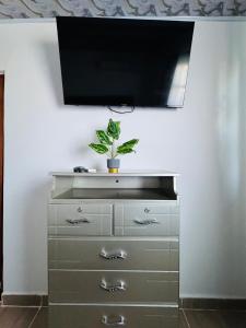 a tv on top of a dresser with a plant on it at Apartamentos el mochilero frente al mar piso 2 apto 3 in Cartagena de Indias