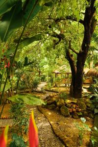a garden with a tree and a stone wall at SAME SAME Bungalows by The Spot in Kuta Lombok