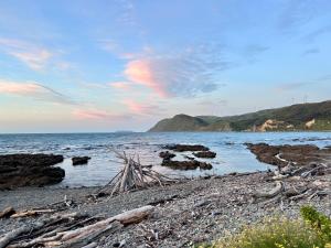 a beach with logs and rocks in the water at Makara Beach Escape in Wellington