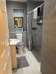 a bathroom with a toilet and a sink and a shower at 4 Castle Walk in Stansted Mountfitchet