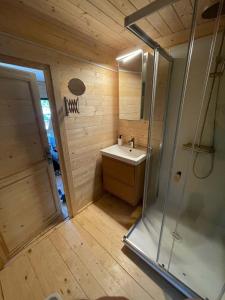 a small bathroom with a sink and a shower at Les Ecolodges du Lac in Chambon-sur-Lac +16 photos