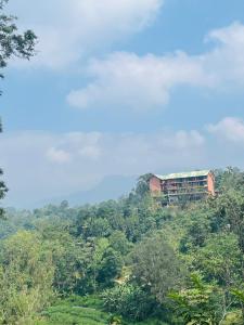 a house on top of a hill with trees at Blissbarn Inn Ella in Ella