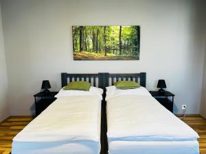 two beds sitting next to each other in a bedroom at Penzion, restaurant Gloria in Chrastava