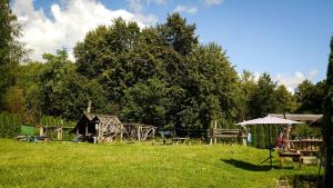 a field with a picnic table and an umbrella at Zakątek Transformacji in Łużna