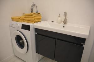a sink and a washing machine in a bathroom at Appartement am Diemelsee Infrarotsauna inklusive in Marsberg