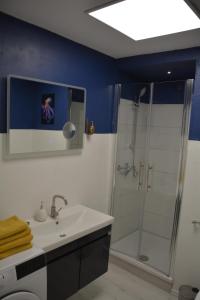 a bathroom with a shower and a white sink at Appartement am Diemelsee Infrarotsauna inklusive in Marsberg +48 photos