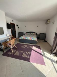 a bedroom with a bed and a desk and a rug at Villa Tunley in Razvalini Balchikioy +15 photos