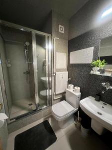 a bathroom with a shower and a toilet and a sink at Apartmán DEJA VÚ - Tatranská Štrba in Štrba +43 photos