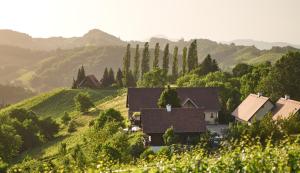 a house in the middle of a valley with hills at Knappenhof Gamlitz in Gamlitz