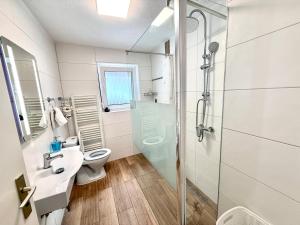 a bathroom with a toilet and a sink and a shower at Ferienhaus Frei 1 Hinterzarten in Hinterzarten +72 photos