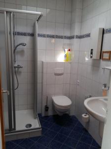 a bathroom with a shower and a toilet and a sink at Haus Deichblick in Dornum +19 photos