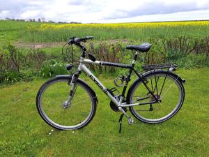 a bike parked in the grass in a field at Haus Deichblick in Dornum