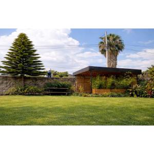 a building in a yard with a palm tree at COLIBRI VILLA City Center in Gisenyi