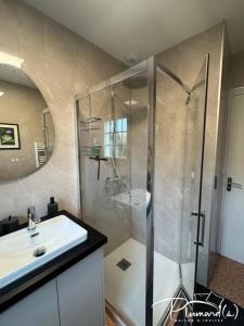 a bathroom with a shower and a sink at Plumards, maison d'invités proche Abbaye in Argoules