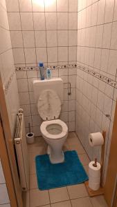 a small bathroom with a toilet and a blue rug at Ferienwohnung Pölzlbauer in Neuwald +8 photos