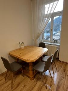 a wooden table and chairs in a room with a window at Apartmány Leopard in Karlovy Vary